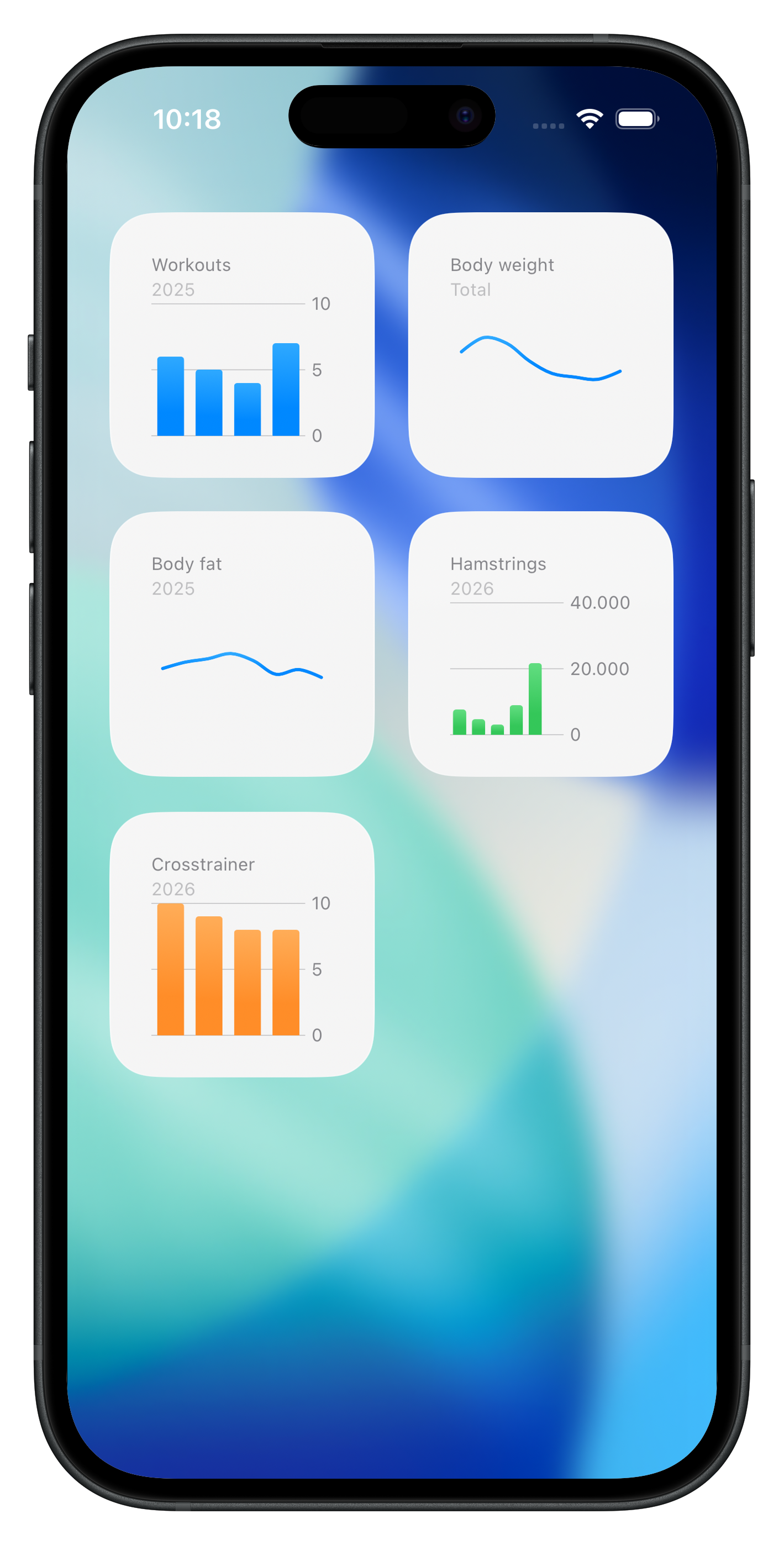 Statistik-Widgets in My Private Gym